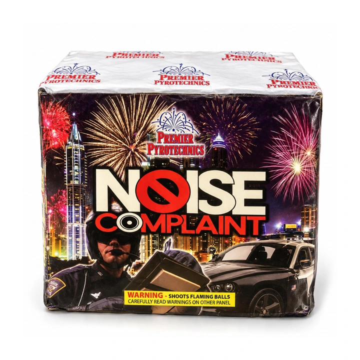 Noise Complaint