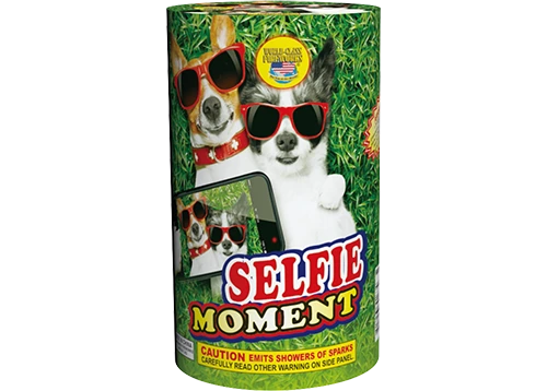Selfie Moment 2