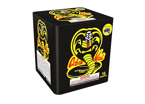 Cobra Kai 2