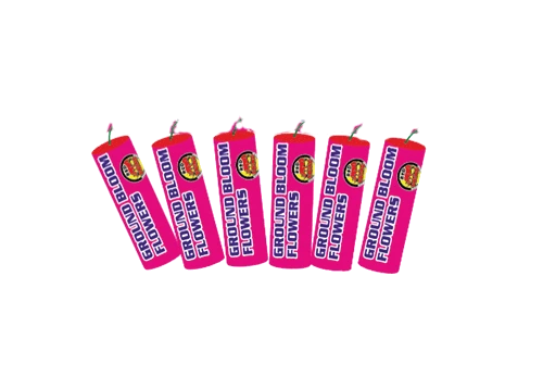 Ground Bloom Flower 6 PK