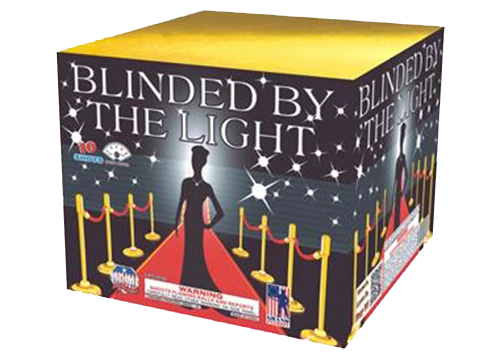 Blinded By the Light 2
