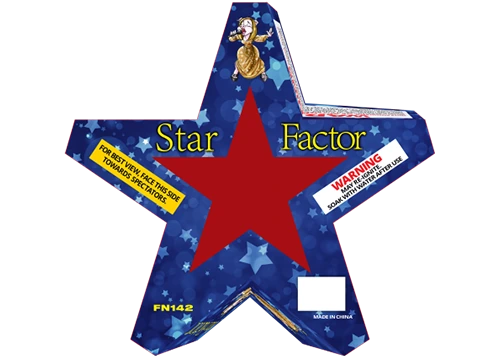 Star Factor 2
