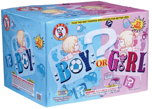 Boy Or Girl Gender Reveal 2