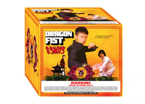 Dragon Fist 2