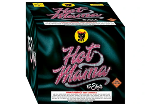 Hot Mama 2