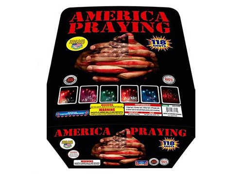 America Praying 2