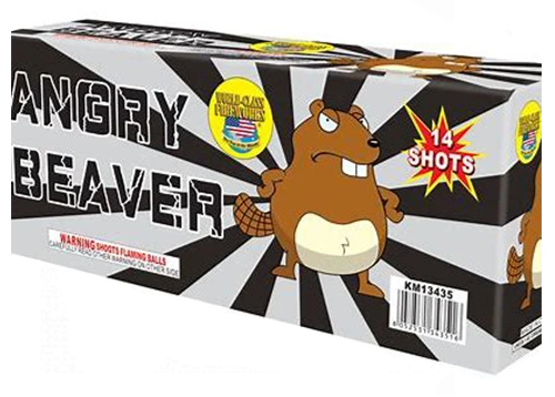 Angry Beaver 2
